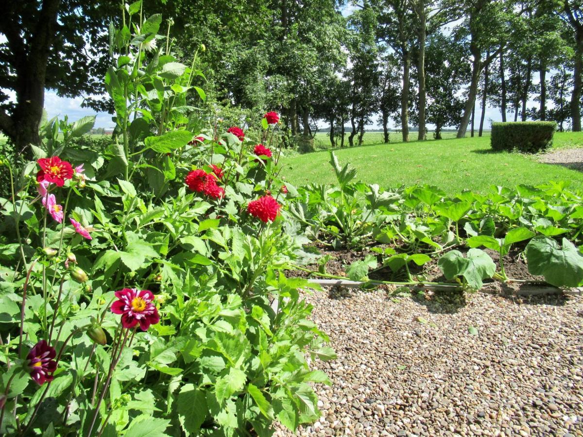 B And Be Happy Friesland Lioessens Exteriör bild